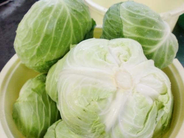 キャベツへのこだわり